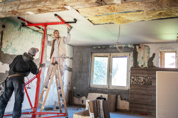 Best Eco-Friendly Insulation in New York, NY